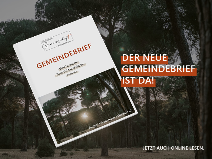 Der neue Gemeindebrief ab August ist online